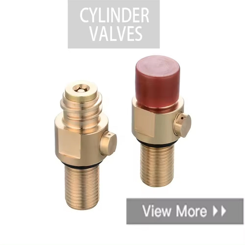 GerainBrass Co2 Cylinder Pin Valve